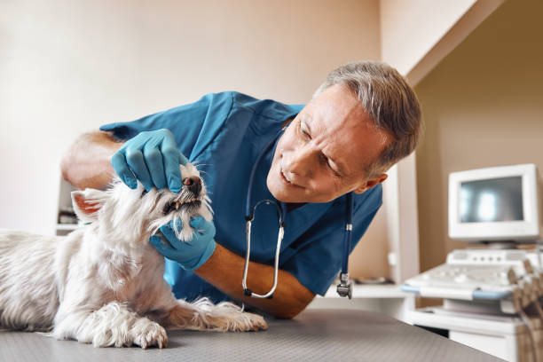 Best Emergency Root Canal Therapy in Brinkley, AR